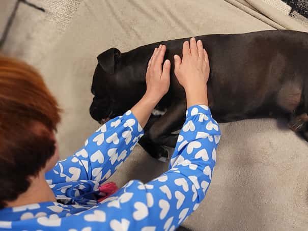 Therapeutin wendet Techniken der manuellen Therapie am Schulterblatt eines in Seitlage liegenden Hundes